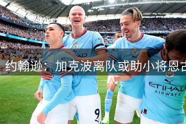 约翰逊：加克波离队或助小将恩古莫哈迎来高光赛季