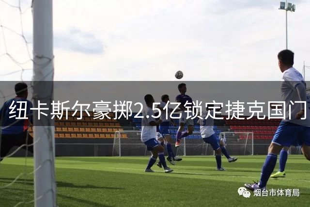 纽卡斯尔豪掷2.5亿锁定捷克国门 24岁新星将接班波普