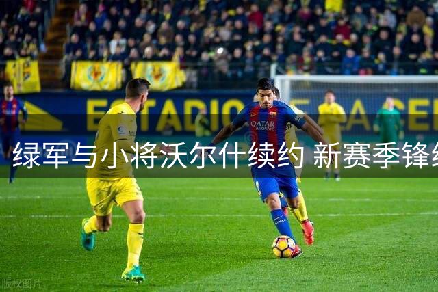 绿军与小将沃尔什续约 新赛季锋线新希望