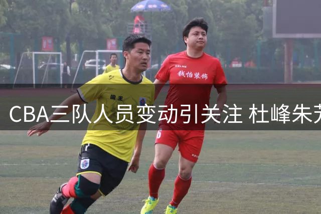 CBA三队人员变动引关注 杜峰朱芳雨卸任 王岚嵚转会山东 辽篮外援归位